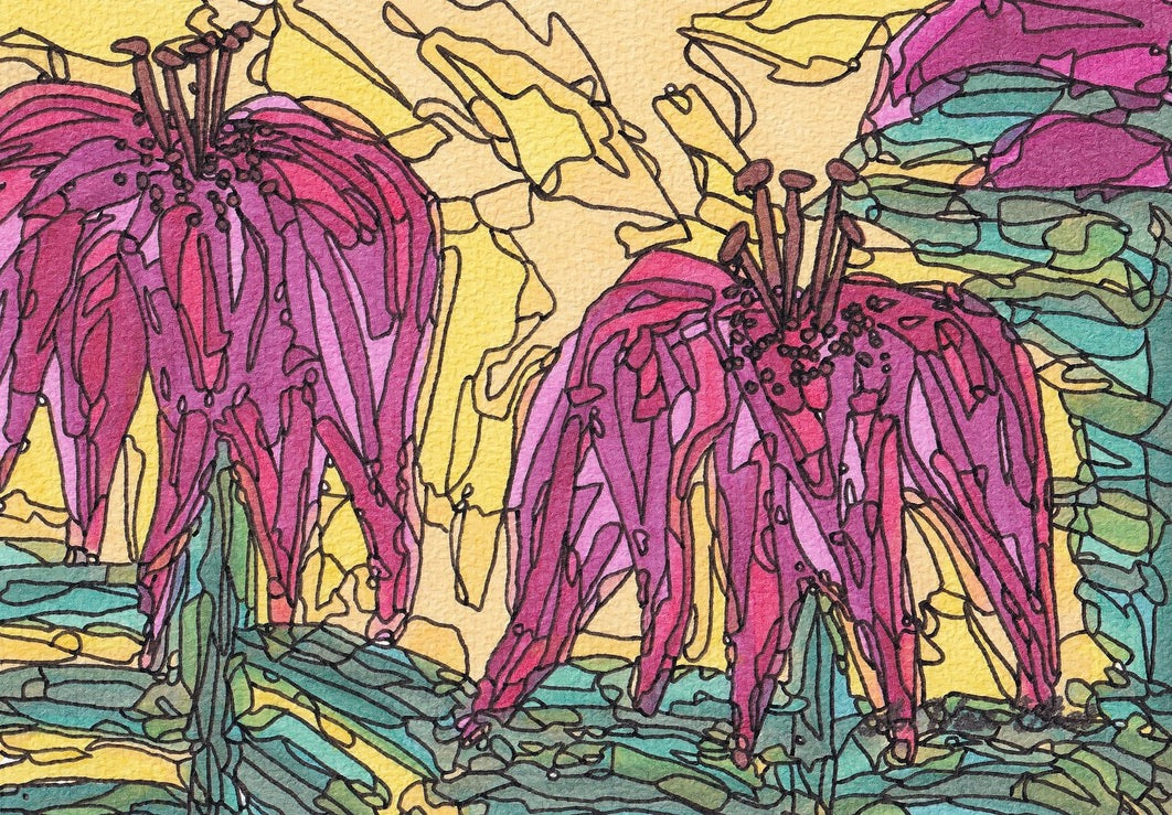 Notecard Asiatic Pink Lilies