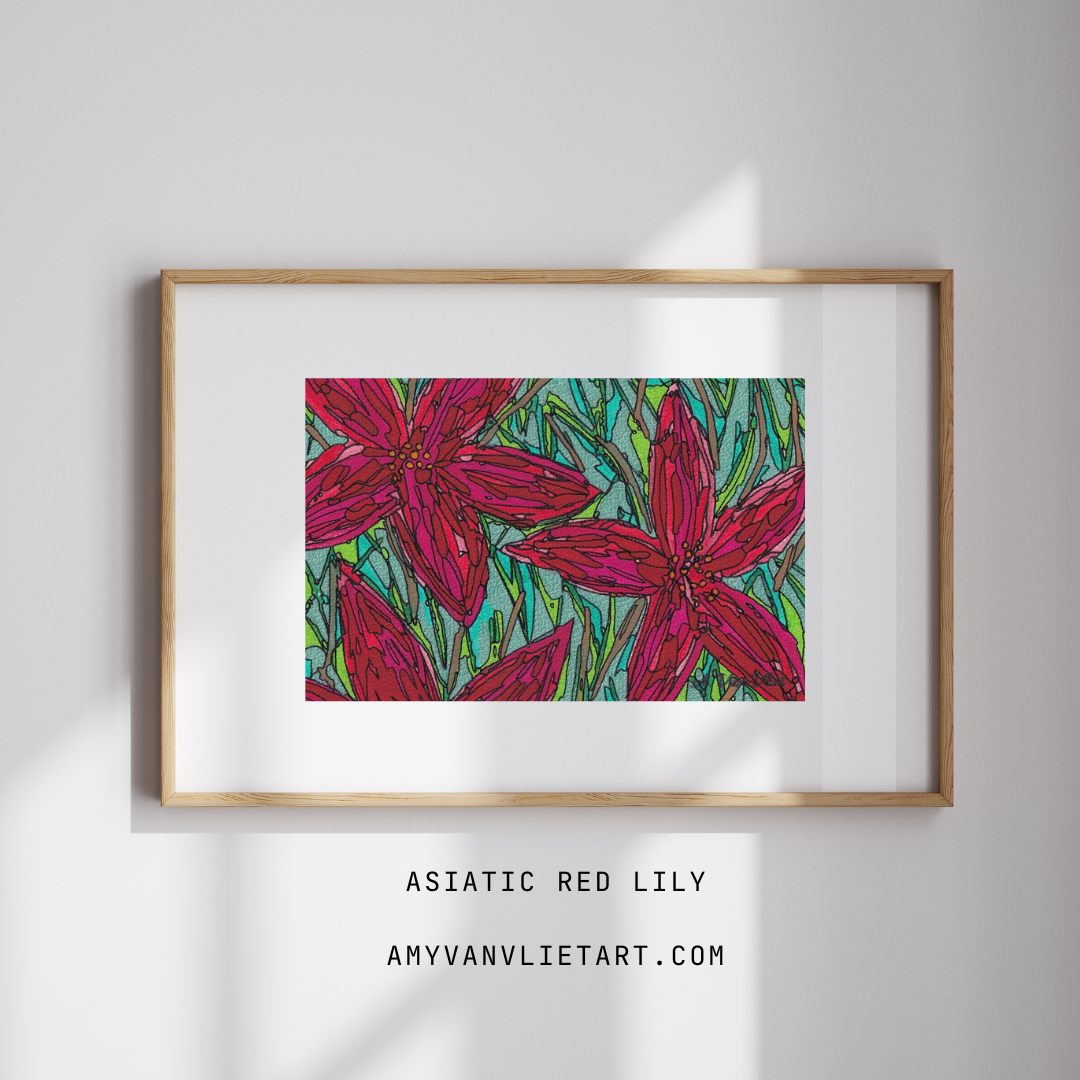 Asiatic Red Lily