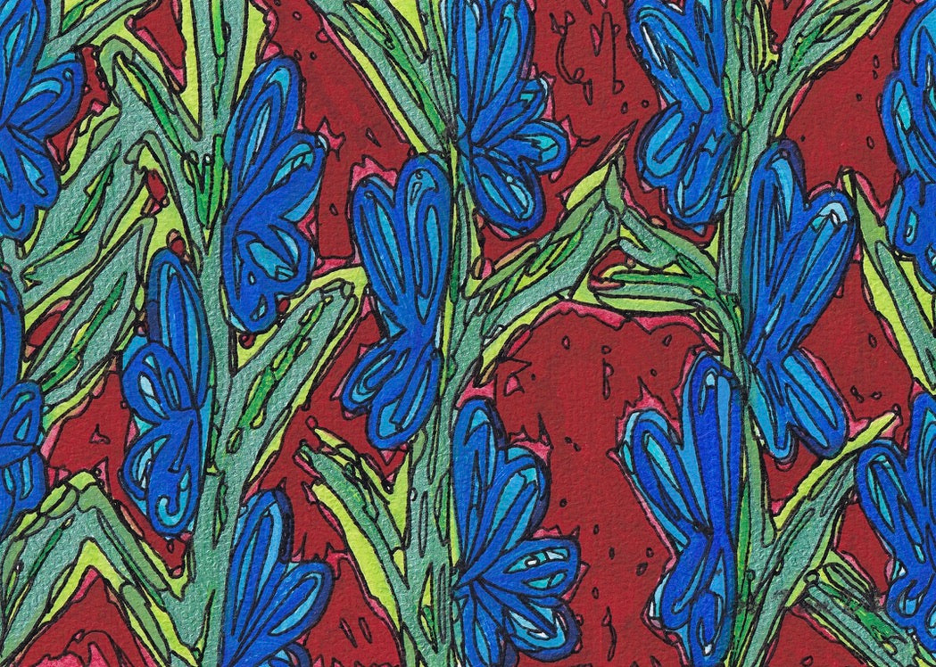 Notecard Blue Gladiolus