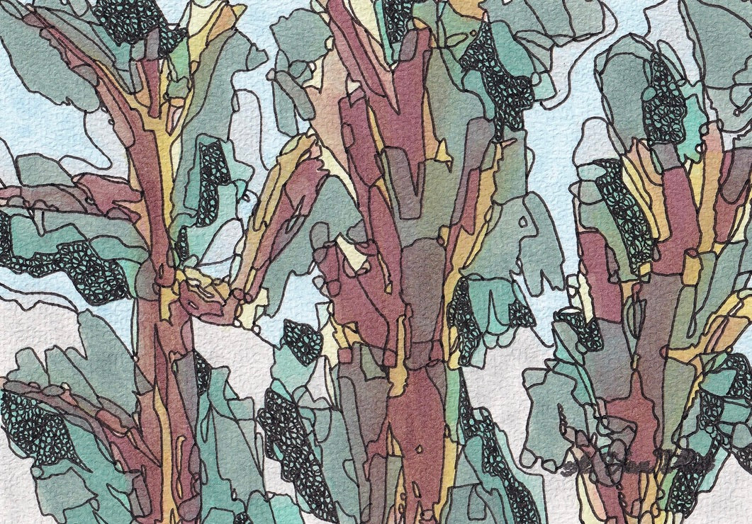 Notecard Cedar Forest