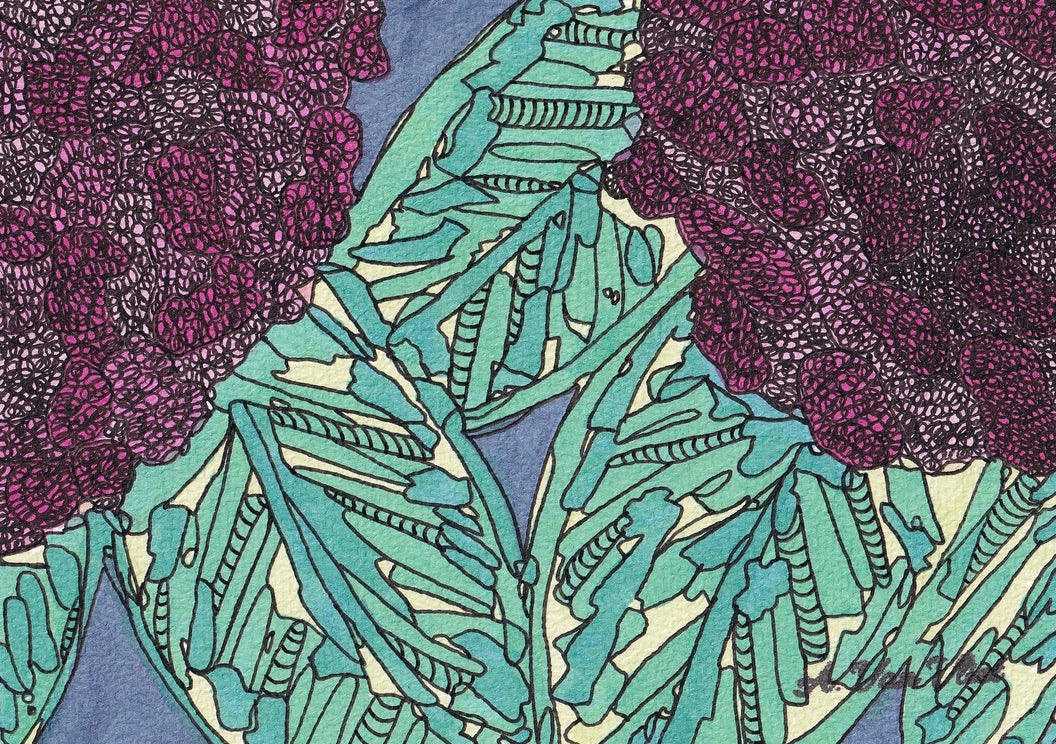 Notecard Double Hydrangea
