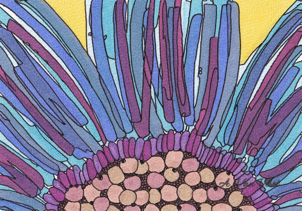 Notecard Midnight Oil Blue Sunflower