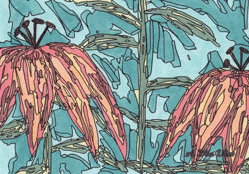Notecard Orange Lilium
