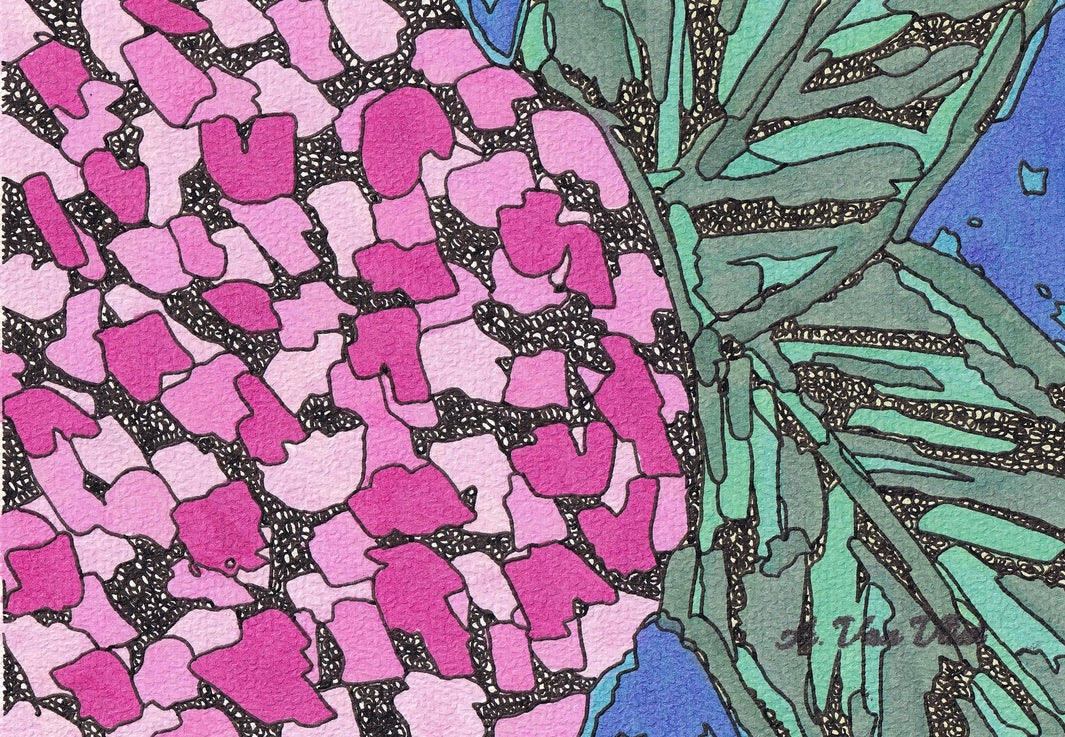 Notecard Summer Hydrangea