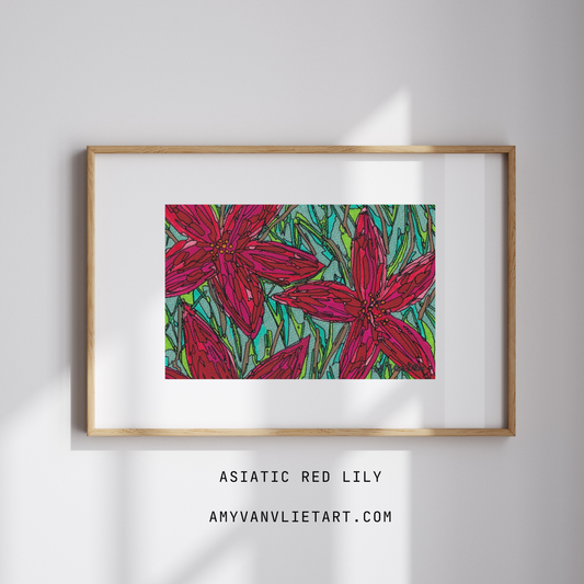 Fine Art Print Asiatic Red Lily