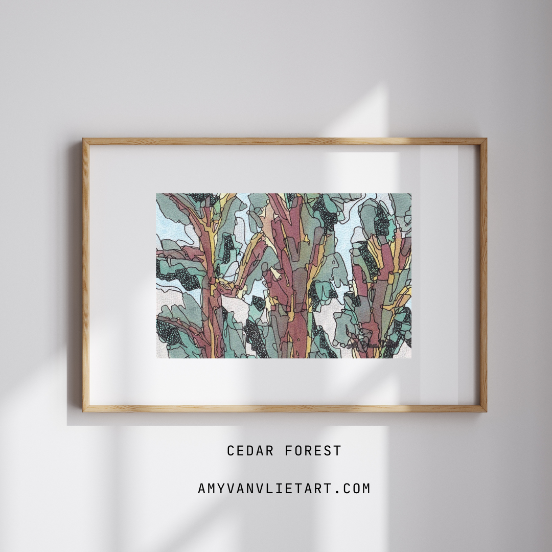 Cedar Forest