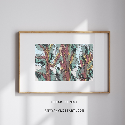 Fine Art Print Cedar Forest