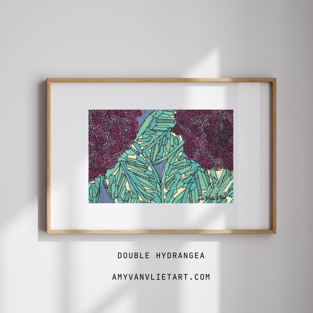 Double Hydrangea
