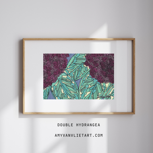 Fine Art Print Double Hydrangea